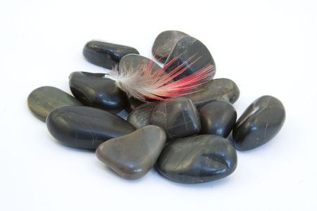 Feather on the rocks.の写真素材