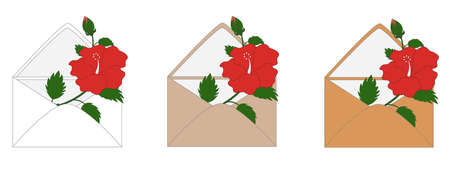 a sprig of red hibiscus flowers, with green leaves and buds, inside an envelope. On white background. A set of envelopes of different colors. drawn trendy vector postcards. vector illustration . Vector illustrationのイラスト素材
