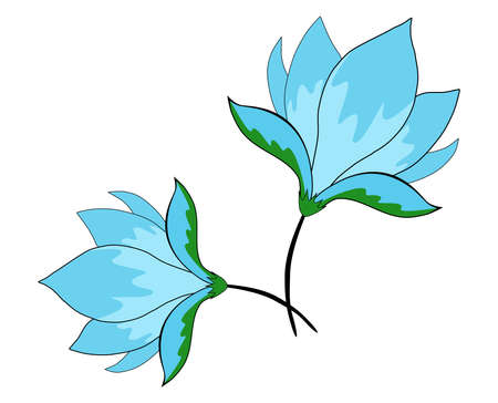 two blue flowers on a white background. set of elements for design. vector illustration isolated on white background. vector illustration . Vector illustrationのイラスト素材