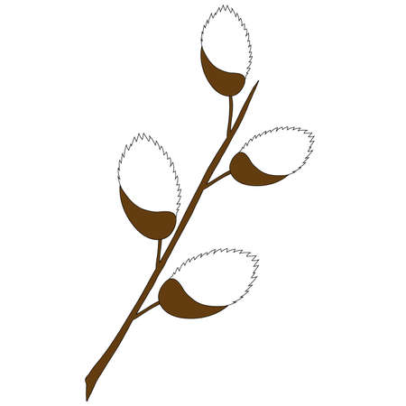 willow branch on a white background.the object is the day of bright Easter. flat illustration. Vector illustrationのイラスト素材