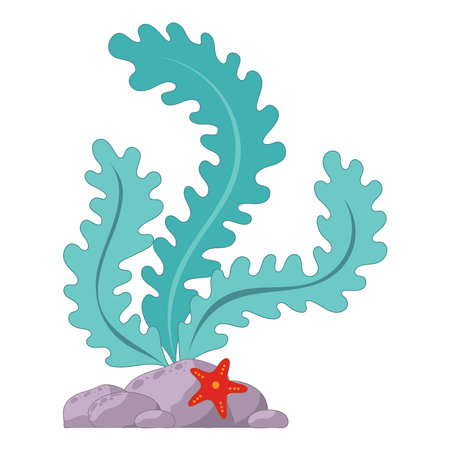 vector illustration of green algae on a rock, with a starfish. vector illustrationのイラスト素材