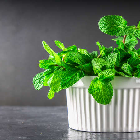 Green mint in a white bowl on a gray background.の写真素材