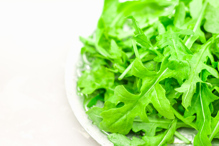 Fresh juicy leaves of arugula on a light concrete background.の写真素材