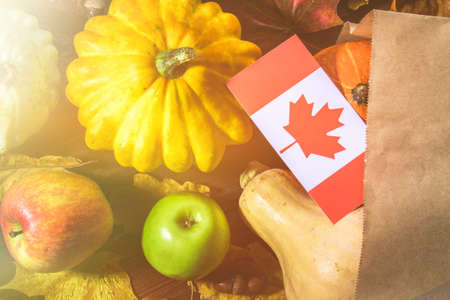 Happy Thanksgiving Day in Canada. Vegetables, pumpkins, squash, apples, maple and oak leaves, acorns...