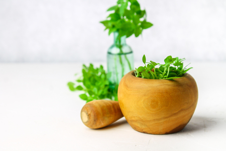Green lemon basil in a wooden mortar on a light background. Behind the basil in the bottle.の写真素材