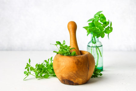 Green lemon basil in a wooden mortar on a light background. Behind the basil in the bottle.の写真素材