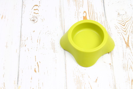 Yellow-green empty plastic bowl for pets on a white wooden floor.の写真素材