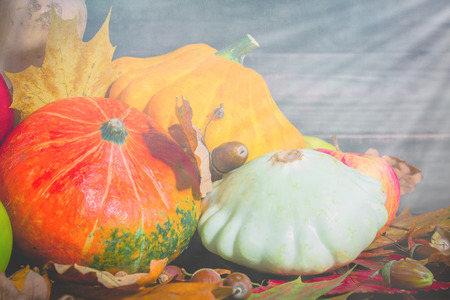 Autumn nature concept. Fall pumpkins and apples on wooden rustic table. Thanksgiving dinnerの写真素材