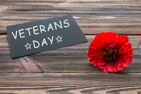 the text thank you veterans written in a chalkboard and red poppy on a rustic wooden backgroundの写真素材