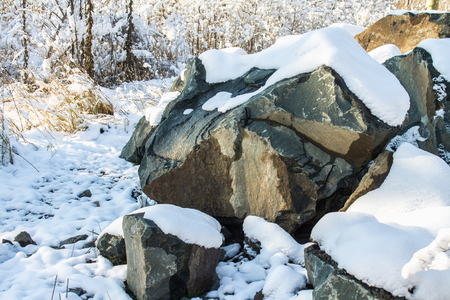 Stones covered with snow in a winter forest on a sunny dayの写真素材
