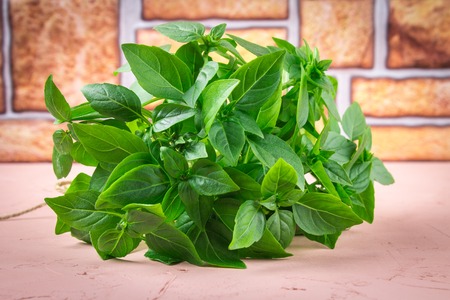 A bunch of green lemon basil on a brown concrete table against a red brick wallの写真素材