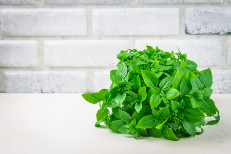 A bunch of green lemon basil on a white concrete table against a brick wall background.の写真素材