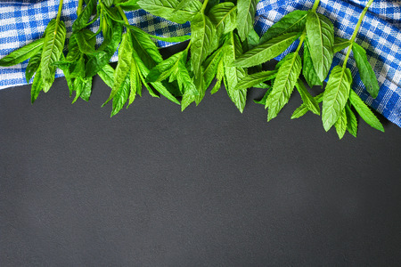 Fresh homemade green peppermint on a gray dark concrete tableの写真素材