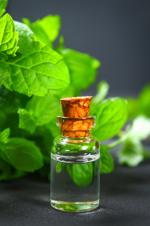 Fresh homemade green peppermint and butter in a glass small bottle on a gray dark concrete tableの写真素材
