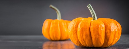 orange decorative pumpkins on a gray background.の写真素材