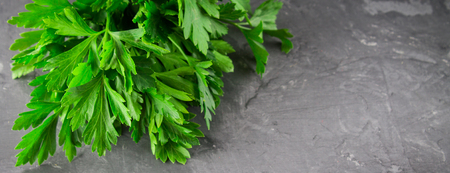 parsley on a gray background.の写真素材