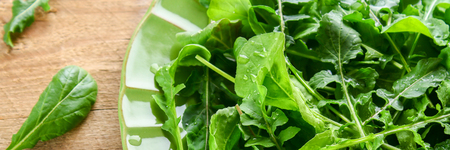 Fresh green home arugula leaves, rucola. Salad