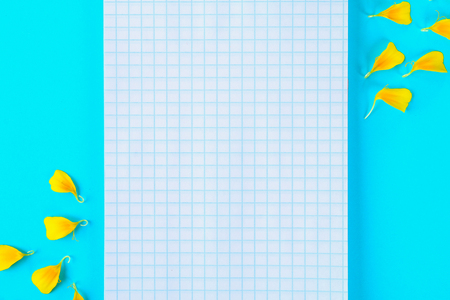 White empty notebook and yellow flower petals on a pastel blue backgroundの写真素材