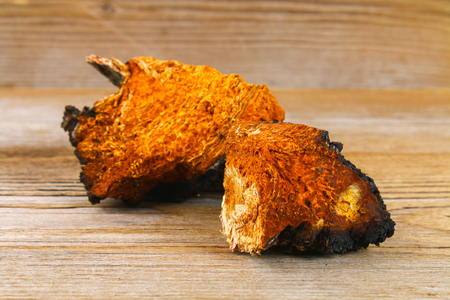Healing tea from birch mushroom chaga is used in folk medicineの写真素材