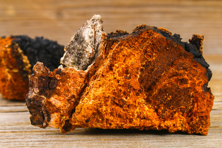 Healing tea from birch mushroom chaga is used in folk medicineの写真素材