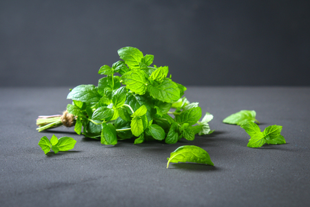 Fresh homemade green peppermint on a gray dark concrete tableの写真素材