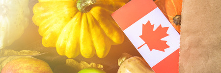 Happy Thanksgiving Day in Canada. Vegetables, pumpkins, squash, apples, maple and oak leaves, acorns on a wooden background. Harvest and yellow autumn leaves on a wooden table.の写真素材