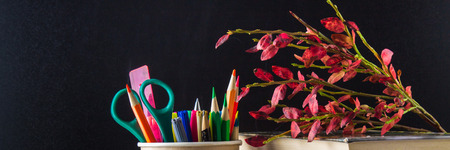 Concept of Teacher's Day. Objects on a chalkboard background. Books, green apple, plaque: Happy...