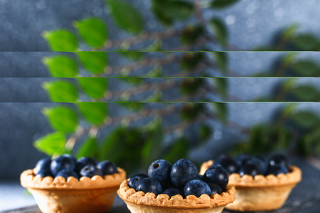 Blue blackthorn berries in sand tartlets on a tableの写真素材
