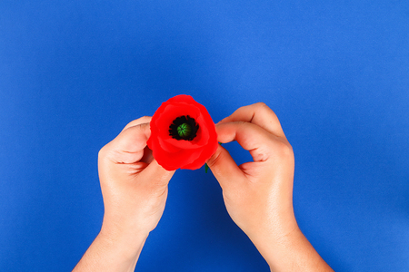 27 Diy paper red poppy Anzac Day, Remembrance, Remember, Memorial day made of crepe paper on blue background. Symbol war. Gift idea, decor. Step by step. Top view. Process kid children craft. Workshopの写真素材