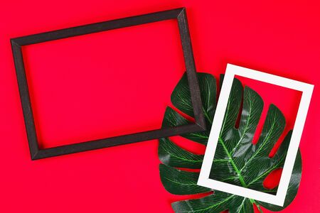 Summer ideas concept with tropical leaf white and black frame border with on red burgundy paperの写真素材