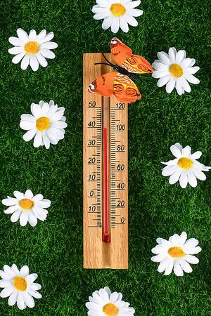 Thermometer displaying high 40 degree hot temperatures in sun summer day. temperature 40. Summer temperature. Thermometer on the grass with butterflies and daisies.の写真素材