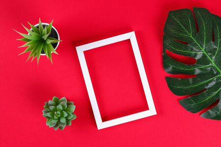 summer ideas concept with tropical leaf white and black frame border with on red burgundy paper background. Top view. free copy space. Flat lay, mock up.の写真素材