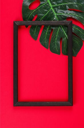 Tropical leaf white and black frame border with on redの写真素材