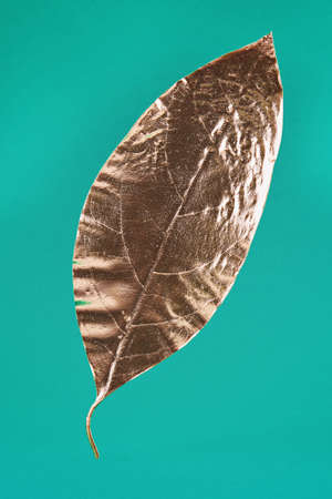 Leaves painted in gold on an turquoise background. Golden autumn concept.の写真素材