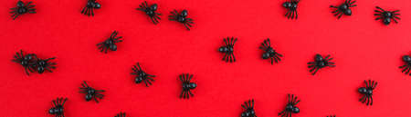 Halloween decorations concept. Halloween with spiders on orange red background. Flat lay, top view, bannerの写真素材