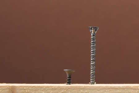 Black iron screws screwed into wood with a screwdriver. Fasteners and hardware.の写真素材