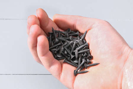 Black iron screws in the palm for wood. Fasteners and hardware in hand.の写真素材