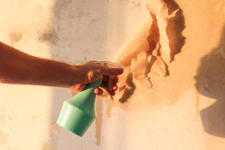 A man removes old wallpaper with a spatula and a spray bottle with water.