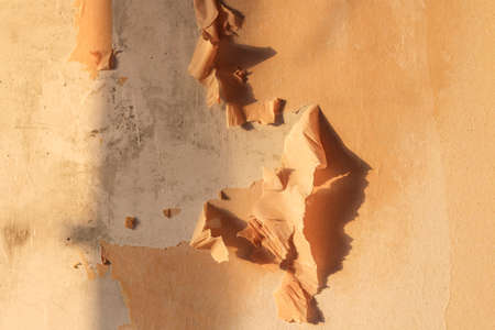A man removes old wallpaper with a spatula and a spray bottle with water.