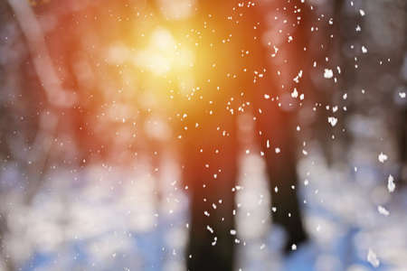 Snowfall Winter snow. Snow texture. Texture for design. Snowy white texture. Snowflakes.の写真素材