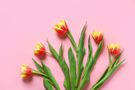 A bouquet of tulips as a gift for March 8, Mothers Day, Valentines Day. Easter decor. Top view. Flowers tulips on a pink background.の写真素材