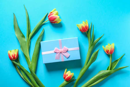 A bouquet of tulips as a gift for March 8, Mothers Day, Valentines Day. Easter decor. Top view. Flowers tulips on a blue background.の写真素材