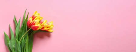 A bouquet of tulips as a gift for March 8, Mothers Day, Valentines Day. Easter decor. Top view. Copy space. Flowers tulips on a pink background. Bannerの写真素材
