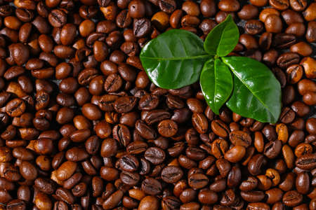 Roasted brown coffee beans. Top view. Coffee background texture.の写真素材
