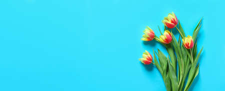 A bouquet of tulips as a gift for March 8, Mothers Day, Valentines Day. Easter decor. Top view. Copy space. Flowers tulips on a blue background. Bannerの写真素材