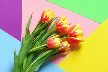 A bouquet of tulips as a gift for March 8, Mothers Day, Valentines Day. Easter decor. Top view. Flowers tulips on a colorful background.の写真素材