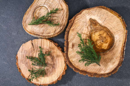 Cypress branches on wooden slabs on a dark black background. Christmas, new year.の写真素材