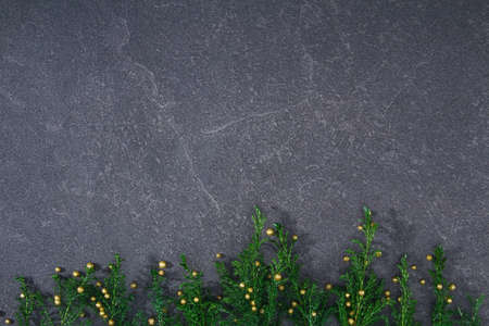 Christmas winter frame with cypress branches, on a dark black background. Christmas card. Festive time. Happy New Year. Copy space. Top view, flat lay.の写真素材