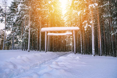 A wooden sign covered with snow on the background of a winter forest. Mockup for the name, advertising.の写真素材