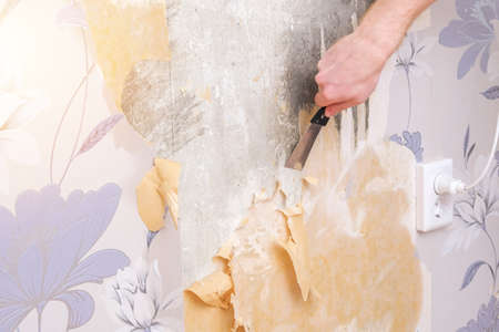 Removing old wallpaper with a spatula and a sprayer with water. A man removes old wallpaper in a room.の写真素材